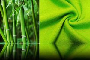 Vải Bamboo là gì?